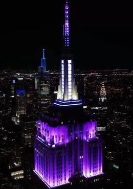 Tomorrow Dynamic Purple and White color
